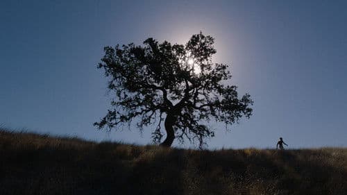 Rite of Passage Bild 1