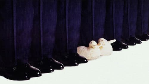 Das Kuckucksei Bild 4