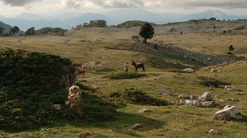 Ein Höhlengleichnis Bild 8