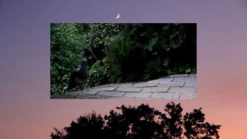 ¿Nos hablan los muertos? Bild 6