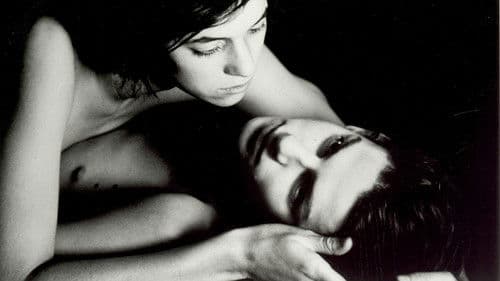 Der Zementgarten Bild 6