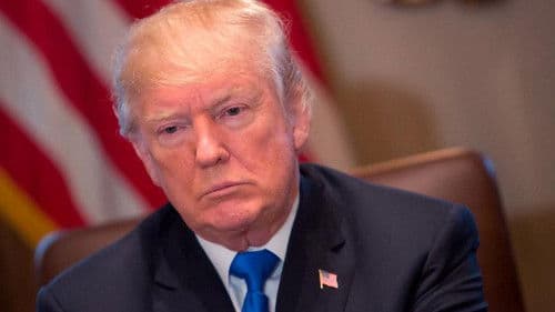 Frontline: President Trump Bild 1