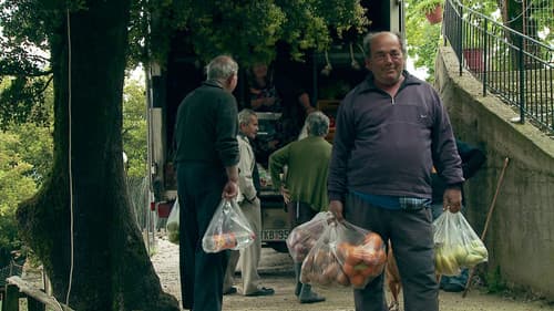 Nikos' rollender Laden Bild 1