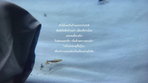 The Year of the Everlasting Storm Bild 3