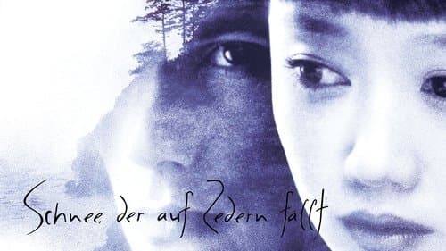 Schnee, der auf Zedern fällt Bild 1