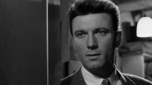 Der Weg nach oben Bild 4