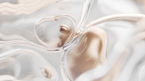 第34屆金曲獎頒獎典禮 Bild 1