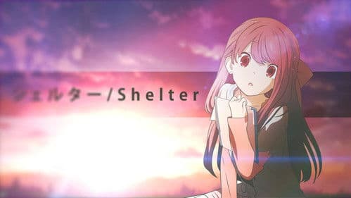 Shelter Bild 4