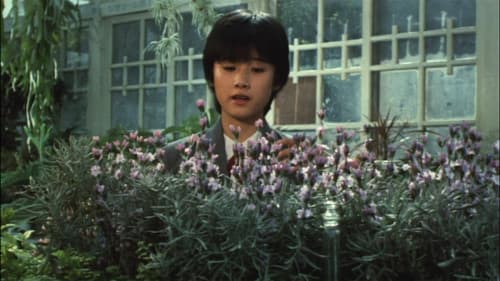 The Girl Who Leapt Through Time Bild 3