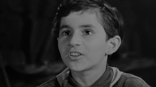 Եռանկյունի Bild 1