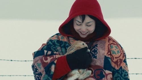 Kumiko, the Treasure Hunter Bild 7
