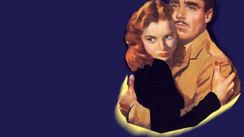 Schicksal in Wien Bild 5