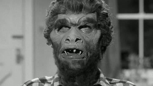 Der Schrecken schleicht durch die Nacht Bild 2