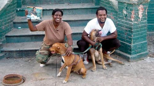 Trouble the Water Bild 1