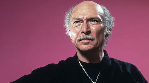 Der Ninja-Meister Bild 1