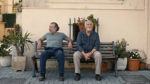 I limoni d'inverno Bild 3