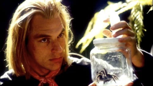 Arachnophobia Bild 2