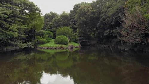 Family Romance, LLC Bild 8