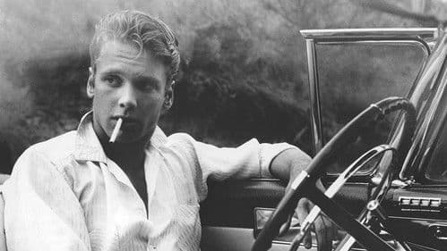 My American Cousin Bild 1