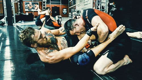 Conor McGregor Bild 4