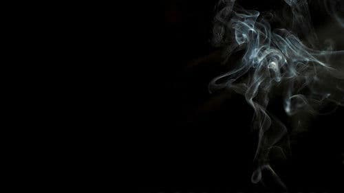 Voorbijgangers Bild 1