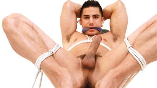 Bound Up Tight Bild 3