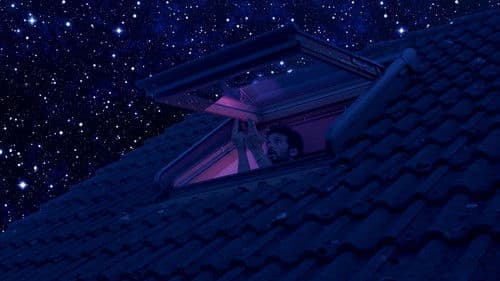 Le sang de la veine Bild 3