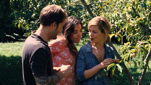 Quartett D'Amour - Liebe, wen du willst Bild 8