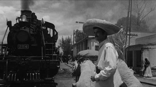 El escapulario Bild 3