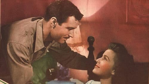 Little Mister Jim Bild 1