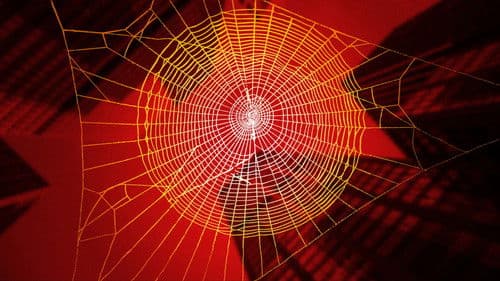 Inside Spider-Man Bild 1