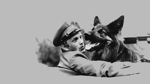 Hundeführer Walczak Bild 3