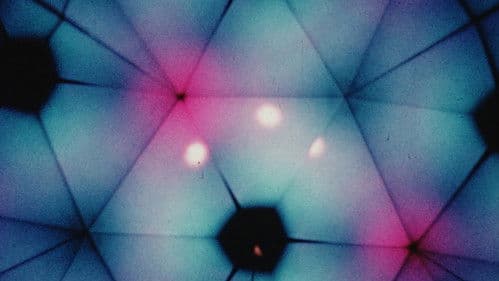 Palace of Pleasure Bild 3