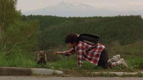 子ぎつねヘレン Bild 1