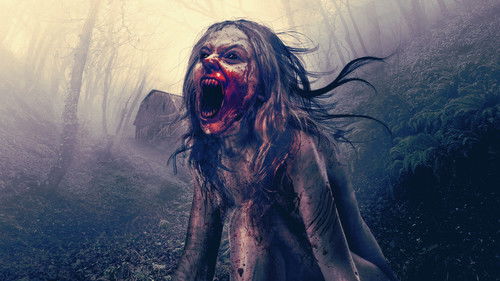 Wicked Witches Bild 3