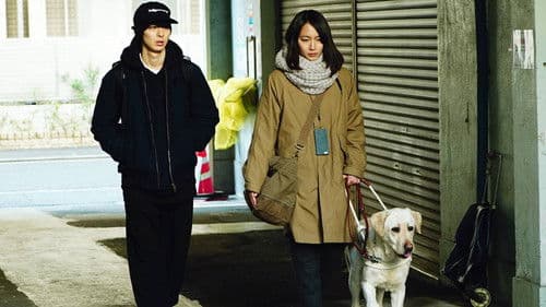 見えない目撃者 Bild 1