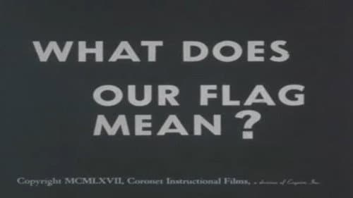 What Does Our Flag Mean? Bild 1