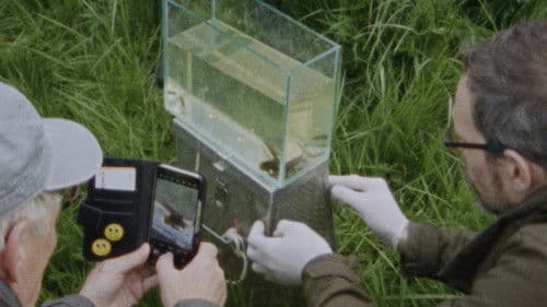 Seen From Here, I Feel Like Belonging Bild 2