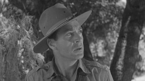 Verrat im Dschungel Bild 5