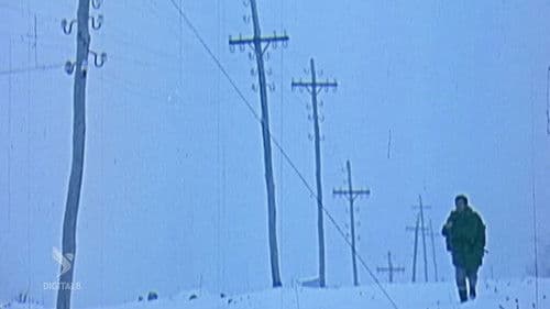 Rrugë të bardha Bild 1