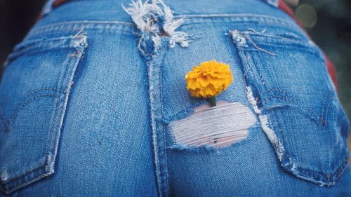 God Respects Us When We Work, But Loves Us When We Dance Bild 1