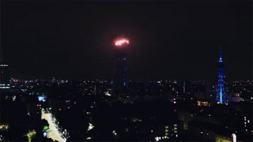 Il talento del calabrone Bild 1