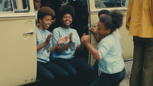 Black Panthers Bild 2