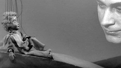 Der kleine Prinz Bild 1