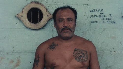 Sepa - Nuestro Señor de los Milagros Bild 3