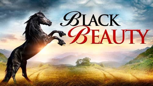 Black Beauty Bild 2