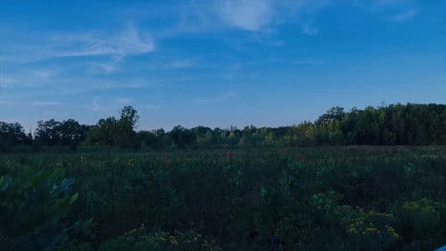 Requiem for a Lifetime Bild 1