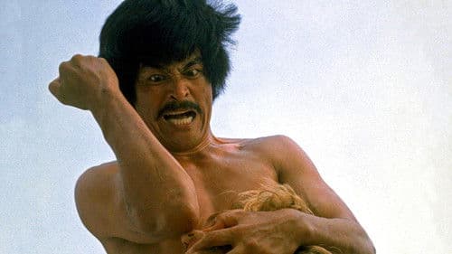 ザ・カラテ Bild 1