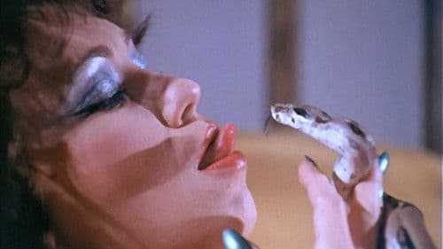 The Devil in Miss Jones Bild 1