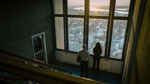 Nachtvlinders Bild 3